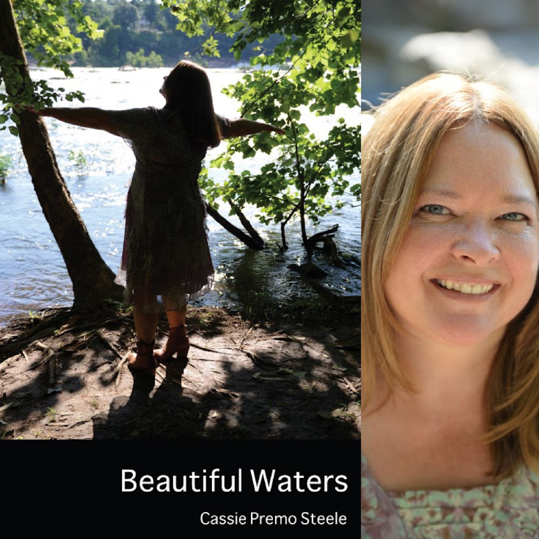 Beautiful Waters by Cassie Premo Steele – Finishing Line Press