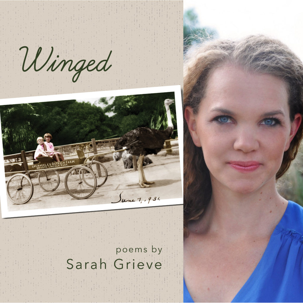 winged-by-sarah-grieve-finishing-line-press