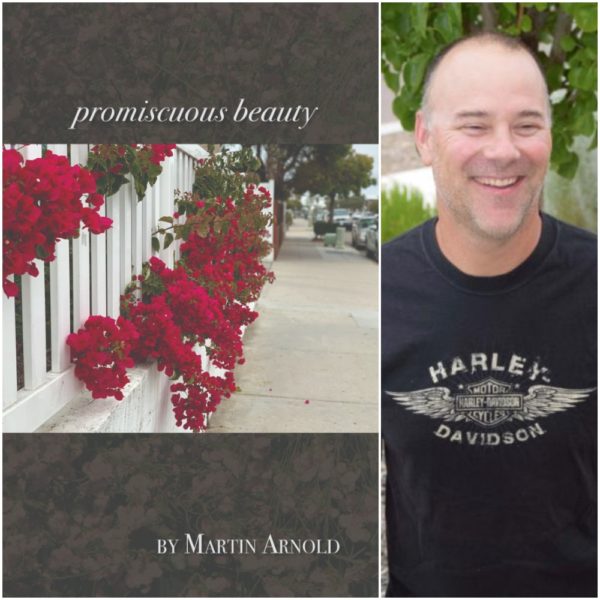 promiscuous beauty by Martin Arnold