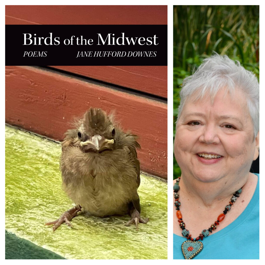 Birds of the Midwest by Jane Hufford Downes – Finishing Line Press