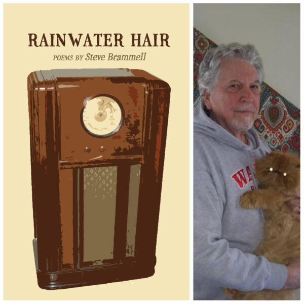 RAINWATER HAIR by Steve Brammell