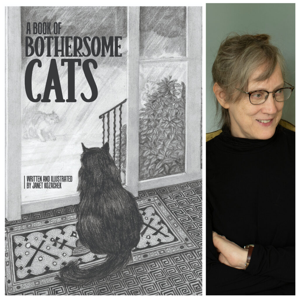 a-book-of-bothersome-cats-by-janet-kozachek-finishing-line-press