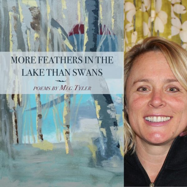 More Feathers in the Lake Than Swans by Meg Tyler