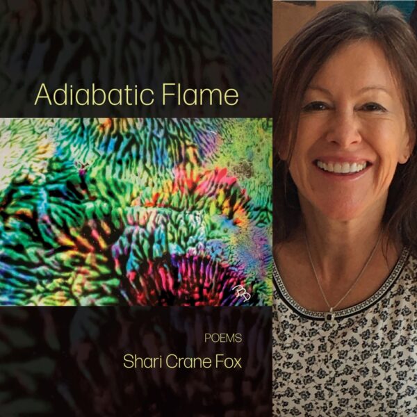 Adiabatic Flame by Shari Crane Fox