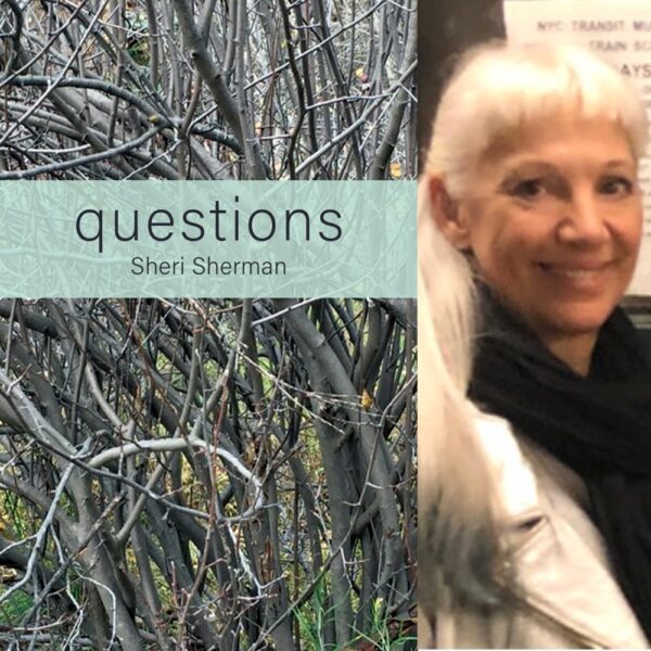 questions by Sheri Sherman