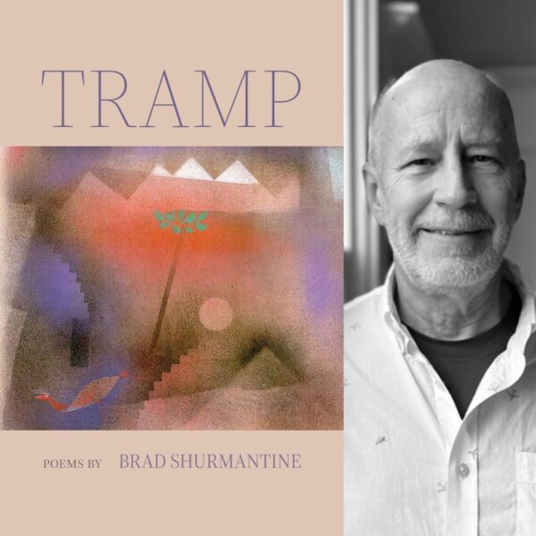 Tramp by Brad Shurmantine