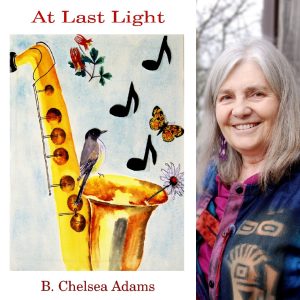 At Last Light by B. Chelsea Adams