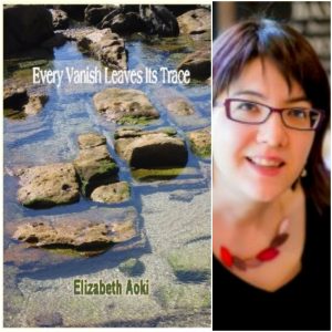 Every Vanish Leaves Its Trace by Elizabeth Aoki