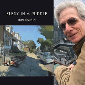 Elegy in a Puddle by Don Barkin