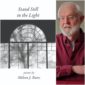 Stand Still in the Light by Milton J. Bates