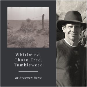 Whirlwind, Thorn Tree, Tumbleweed by Stephen Benz
