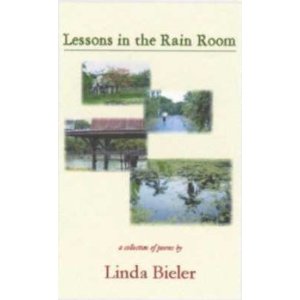 Lessons in the Rain Room by Linda Bieler