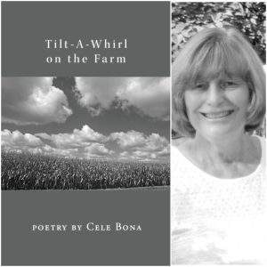 Tilt-A-Whirl on the Farm by Cele Bona