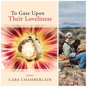 To Gaze Upon Their Loveliness by Cara Chamberlain