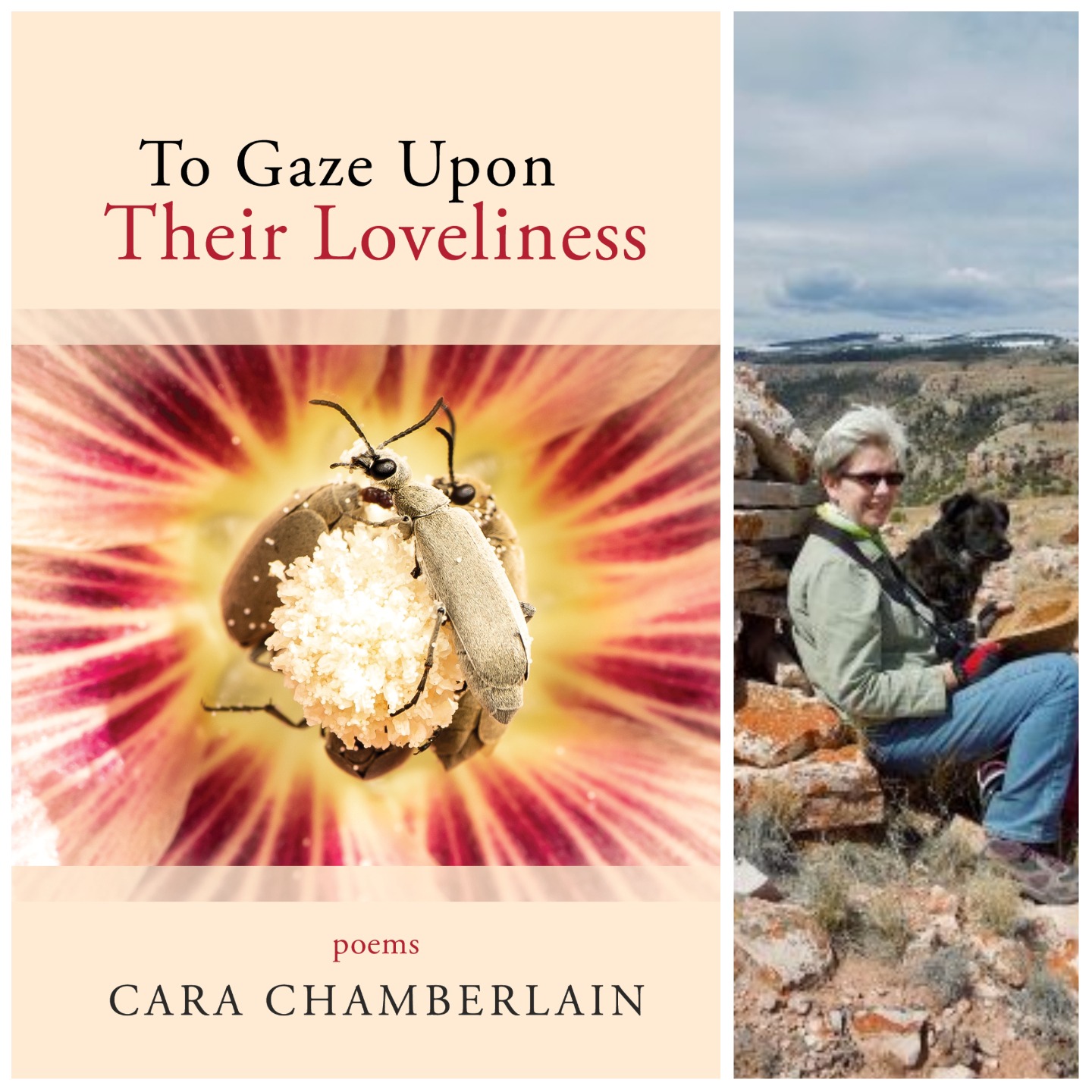 To Gaze Upon Their Loveliness by Cara Chamberlain
