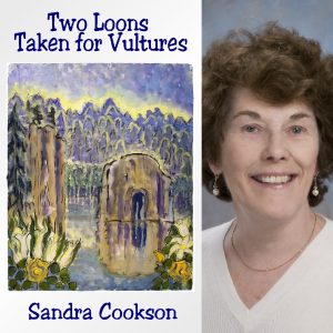 Two Loons Taken for Vultures by Sandra Cookson