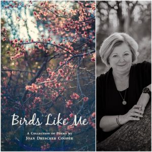 Birds Like Me by Joan Drescher Cooper