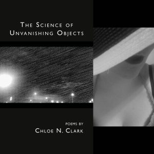 The Science of Unvanishing Objects by Chloe N. Clark
