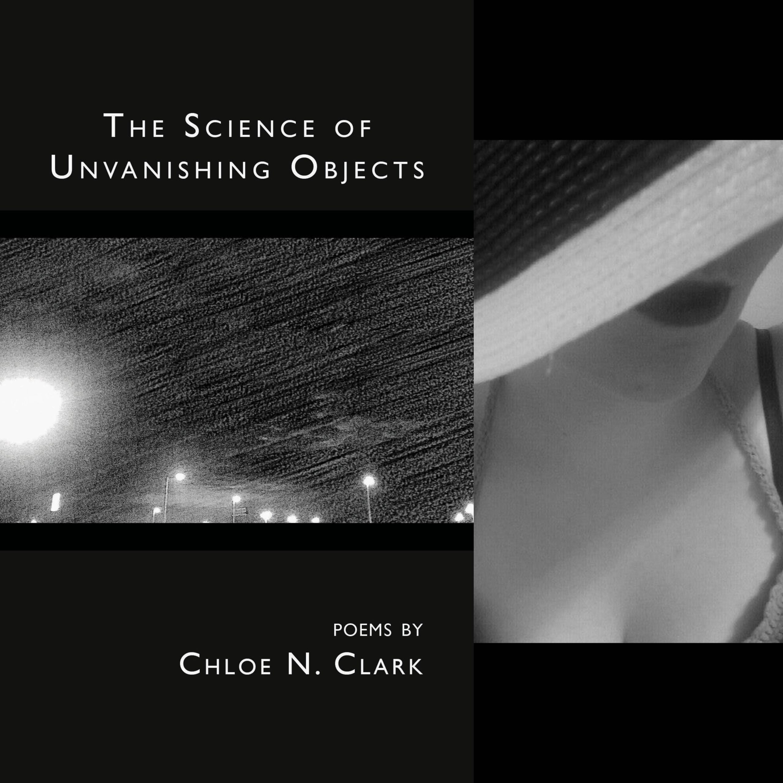 The Science of Unvanishing Objects by Chloe N. Clark