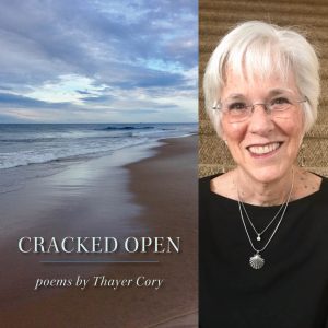 CRACKED OPEN by Thayer Cory