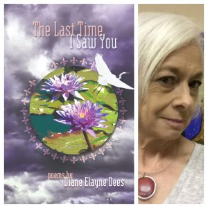 The Last Time I Saw You by Diane Elayne Dees