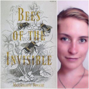Bees of the Invisible by Maximiliane Donicht