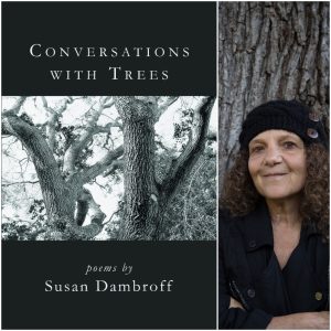 Conversations with Trees by Susan Dambroff