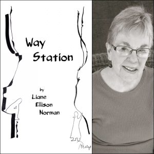 Way Station by Liane Ellison Norman