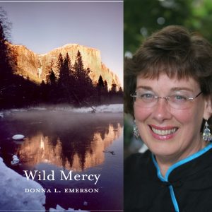 Wild Mercy by Donna L. Emerson