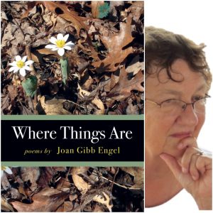 Where Things Are by Joan Gibb Engel