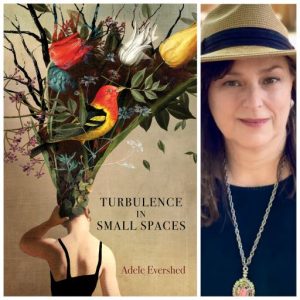Turbulence in Small Spaces by Adele Evershed