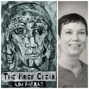 The Brief Clear by Kim Farrar