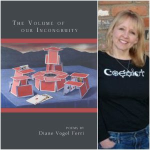 The Volume of our Incongruity by Diane Vogel Ferri