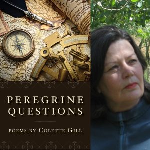 Peregrine Questions by Colette Gill