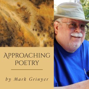 Approaching Poetry by Mark Grinyer