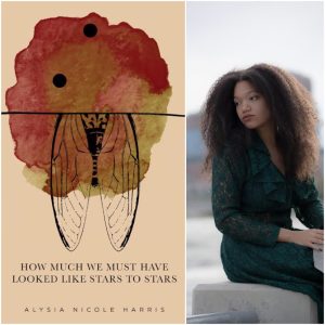 How Much We Must Have Looked Like Stars To Stars by A.N. Harris