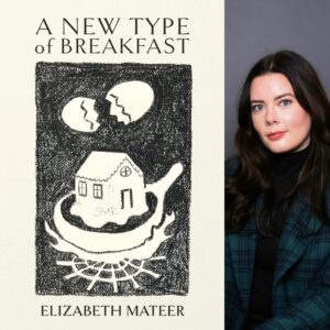 A New Type of Breakfast by Elizabeth Mateer