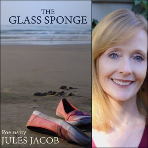 The Glass Sponge by Jules Jacob