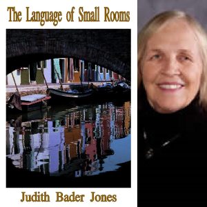 The Language of Small Rooms by Judith Bader Jones