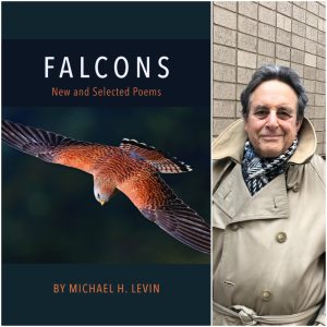 Falcons by Michael H. Levin