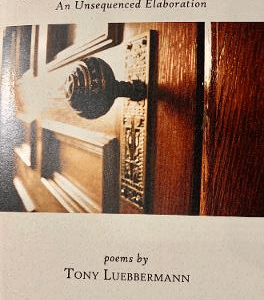 A Short Anatomy of Doorknobs by Tony Luebbermann