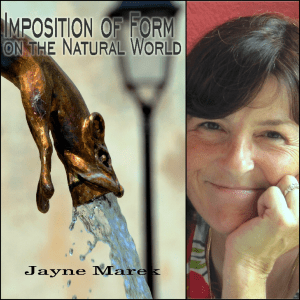 Imposition of Form on the Natural World by Jayne Marek