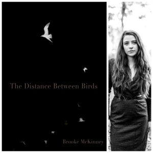 The Distance Between Birds by Brooke McKinney