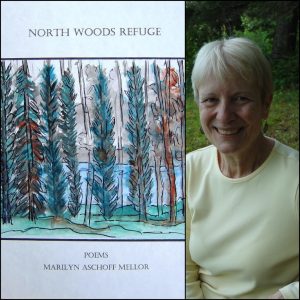 North Woods Refuge by Marilyn Aschoff Mellor