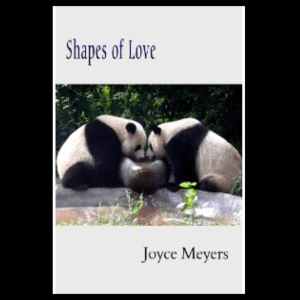 Shapes of Love by Joyce Meyers