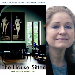 The House Sitter by Leslie Monsour