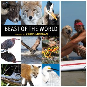 Beast of the World by Chris Morgan