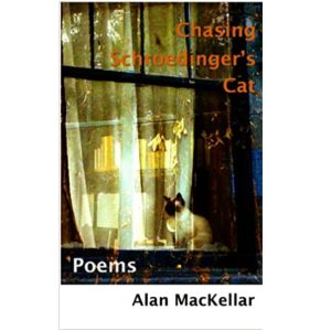 Chasing Schroedinger's Cat by Alan Mackellar