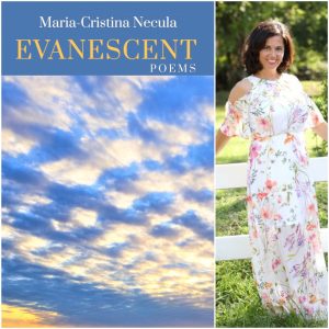 Evanescent by Maria-Cristina Necula