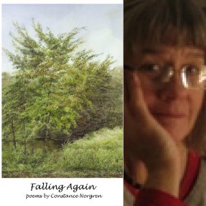Falling Again by Constance Norgren